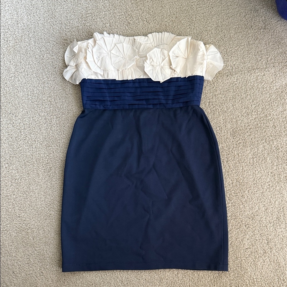 BCGB Navy and White Cocktail Dress